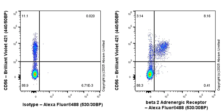 Flow Cytometry - Anti-beta 2 Adrenergic Receptor antibody [EPR26547-148] (AB324267)