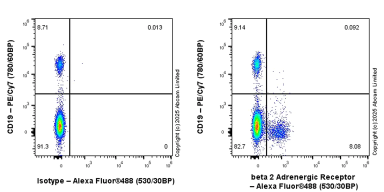 Flow Cytometry - Anti-beta 2 Adrenergic Receptor antibody [EPR26547-148] (AB324267)