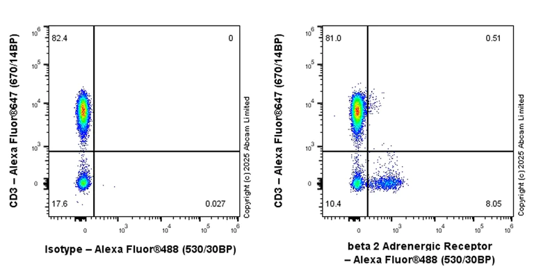 Flow Cytometry - Anti-beta 2 Adrenergic Receptor antibody [EPR26547-148] (AB324267)