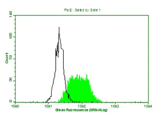 Flow Cytometry - Anti-beta 2 Microglobulin antibody [D2E9] (AB198486)