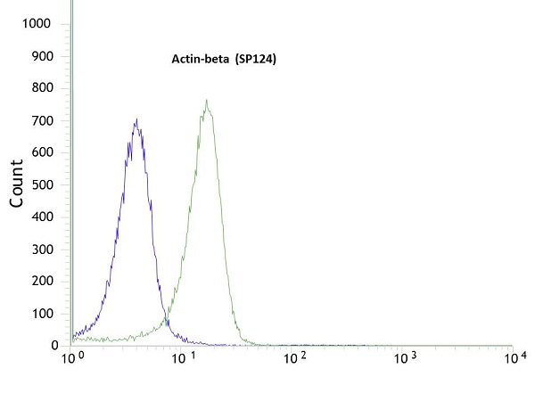 Flow Cytometry (Intracellular) - Anti-beta Actin antibody [SP124] - BSA and Azide free (ab242387), expandable thumbnail