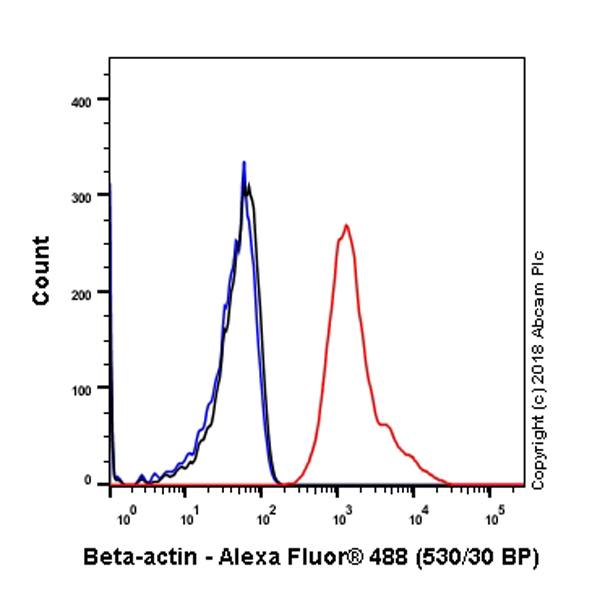 Flow Cytometry (Intracellular) - Anti-beta Actin antibody [SP124] - BSA and Azide free (ab242387), expandable thumbnail
