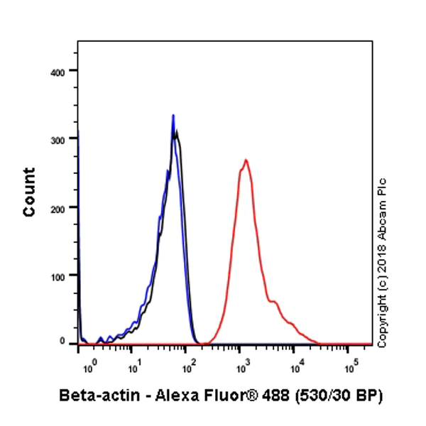Flow Cytometry (Intracellular) - Anti-beta Actin antibody [SP124] - BSA and Azide free (AB242387)
