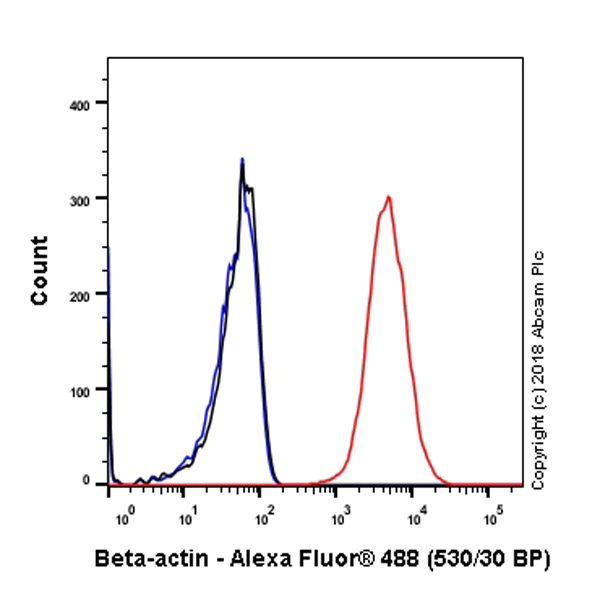 Flow Cytometry (Intracellular) - Anti-beta Actin antibody [SP124] - BSA and Azide free (AB242387)