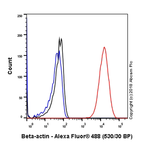 Flow Cytometry (Intracellular) - Anti-beta Actin antibody [SP124] - BSA and Azide free (AB242387)