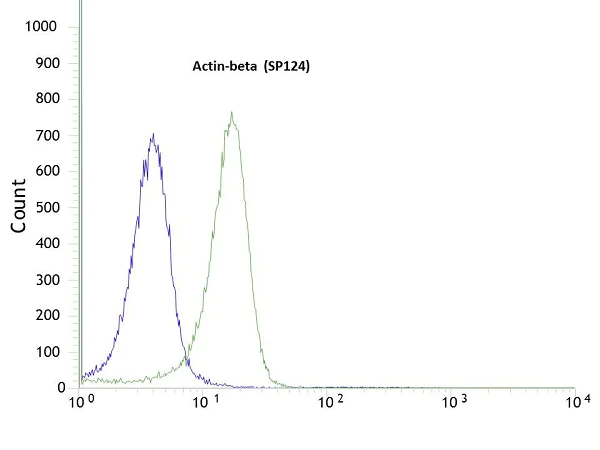 Flow Cytometry (Intracellular) - Anti-beta Actin antibody [SP124] - Cytoskeleton Marker (AB115777)