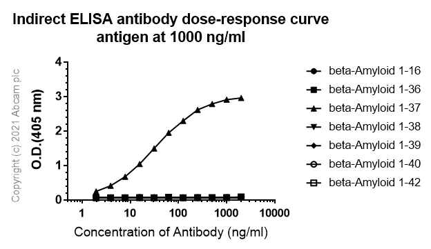 Indirect ELISA - Anti-beta Amyloid 1-37 antibody [IBR-9-16-4] - BSA and Azide free (AB264033)