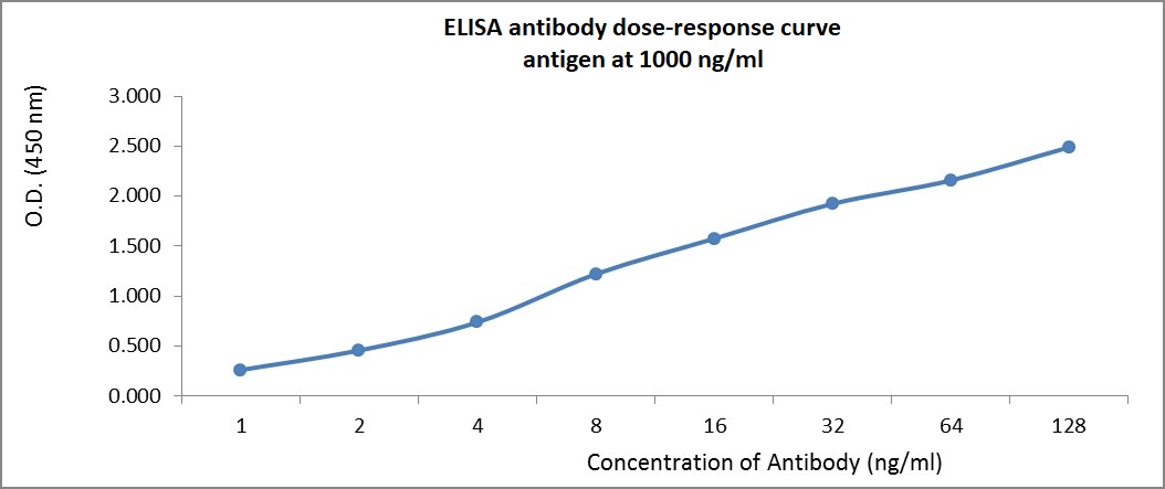 ELISA - Anti-beta Amyloid 37-42 antibody - BSA and Azide free (AB34376), expandable thumbnail