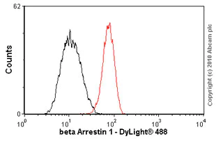 Flow Cytometry (Intracellular) - Anti-beta Arrestin 1 antibody [E274] (AB32099)