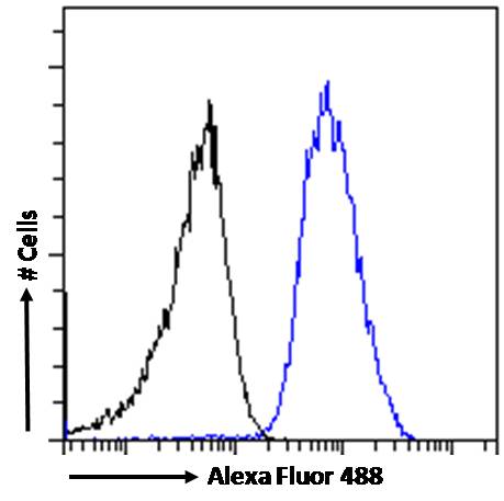 Flow Cytometry - Anti-Beta Arrestin 2 antibody (AB31294)