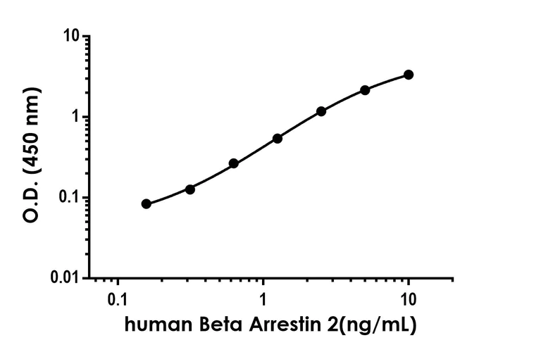 Sandwich ELISA - Anti-Beta Arrestin 2 antibody [EPR22073-91] - BSA and Azide free (Detector) (AB305153)