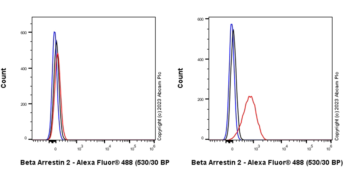 Flow Cytometry (Intracellular) - Anti-Beta Arrestin 2 antibody [EPR25410-70] - BSA and Azide free (AB314214), expandable thumbnail