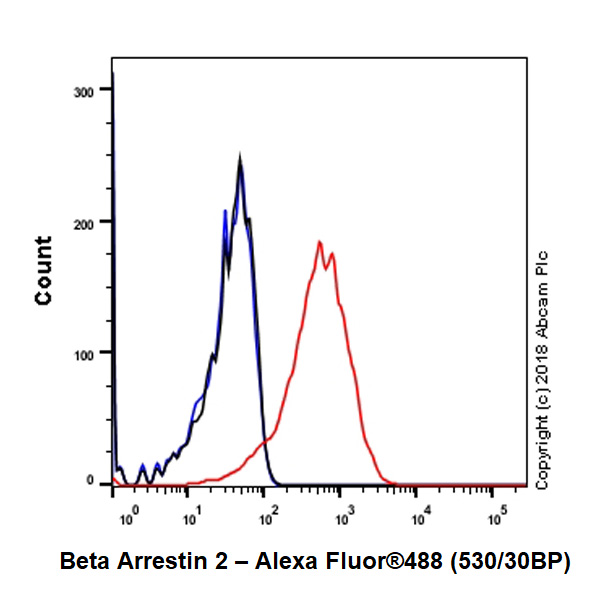 Flow Cytometry (Intracellular) - Anti-Beta Arrestin 2 + Beta Arrestin 1 antibody [EPR22073] (AB206972)