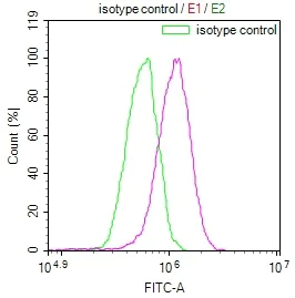 Flow Cytometry - Anti-beta Casein antibody [29D6] (AB314186)