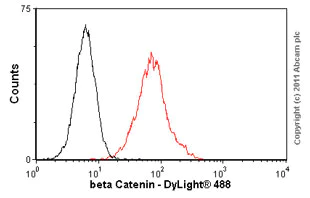 Flow Cytometry (Intracellular) - Anti-beta Catenin antibody [12F7] (AB22656)