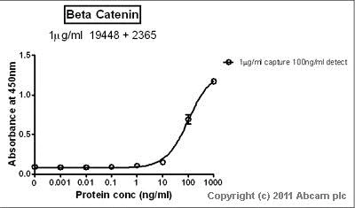 Sandwich ELISA - Anti-beta Catenin antibody (AB16051)