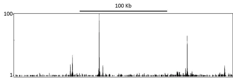 ChIP-sequencing - Anti-beta Catenin antibody (AB264263)