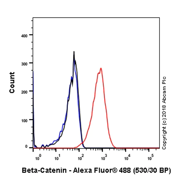 Flow Cytometry (Intracellular) - Anti-beta Catenin antibody [SP328] - BSA and Azide free (AB242424)