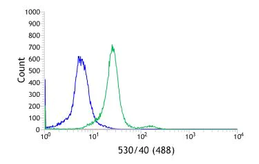 Flow Cytometry (Intracellular) - Anti-beta Catenin antibody [SP328] - BSA and Azide free (AB242424)