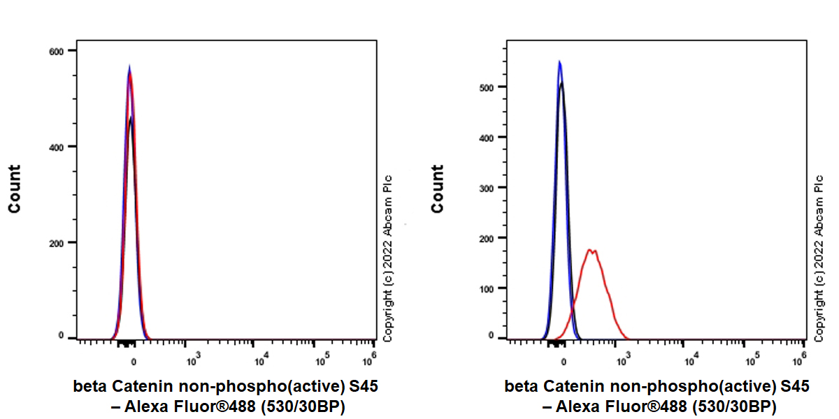 Flow Cytometry (Intracellular) - Anti-beta Catenin non-phospho(active) S45 antibody [EPR26155-110-1] - BSA and Azide free (ab305262), expandable thumbnail