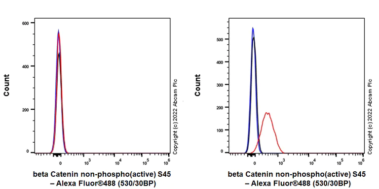 Flow Cytometry (Intracellular) - Anti-beta Catenin non-phospho(active) S45 antibody [EPR26155-110-1] - BSA and Azide free (AB305262)