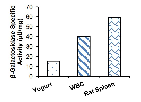 Enzyme activity assay - Beta Galactosidase Assay Kit (Green) (AB287846), expandable thumbnail