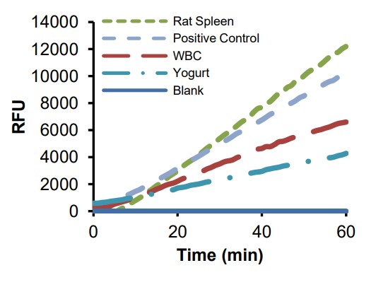 Enzyme activity assay - Beta Galactosidase Assay Kit (Green) (AB287846), expandable thumbnail