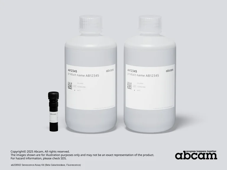 Schematic Diagram - Beta Galactosidase Assay Kit (Senescence) (AB228562)