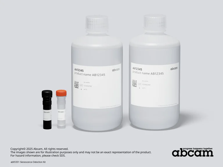 Other - Beta Galactosidase Staining Kit (Senescence) (AB65351)