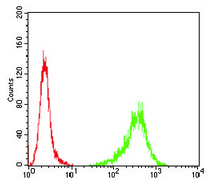 Flow Cytometry - Anti-beta I Tubulin antibody [2A1A9] (AB204947)