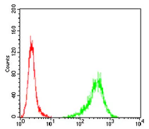 Flow Cytometry - Anti-beta I Tubulin antibody [2A1A9] (AB204947)