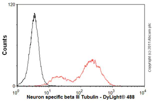 Flow Cytometry (Intracellular) - Anti-beta III Tubulin antibody [2G10] - BSA and Azide free (AB264097)