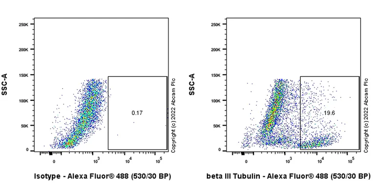 Flow Cytometry (Intracellular) - Anti-beta III Tubulin antibody [2G10] - Neuronal Marker (AB78078)