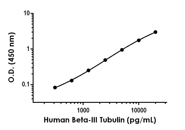 Sandwich ELISA - Anti-beta III Tubulin antibody [EPR1568-17] - BSA and Azide free (Detector) (AB245046)