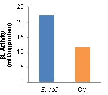 Functional Studies - Beta Lactamase Activity Assay Kit (Colorimetric) (AB197008)