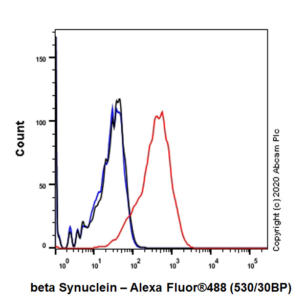 Flow Cytometry (Intracellular) - Anti-beta Synuclein antibody [EP1537Y] - BSA and Azide free (AB221908), expandable thumbnail