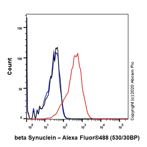 Flow Cytometry (Intracellular) - Anti-beta Synuclein antibody [EP1537Y] - BSA and Azide free (AB221908)