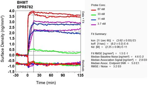 OI-RD Scanning - Anti-BHMT antibody [EPR6782] - BSA and Azide free (AB248086)