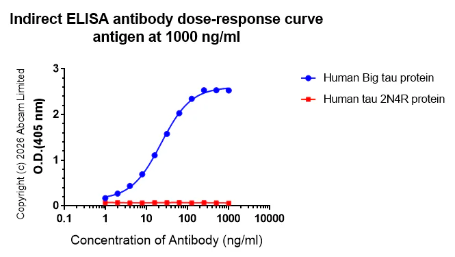 Indirect ELISA - Anti-Big tau antibody [EPR26831-57] (AB326361)