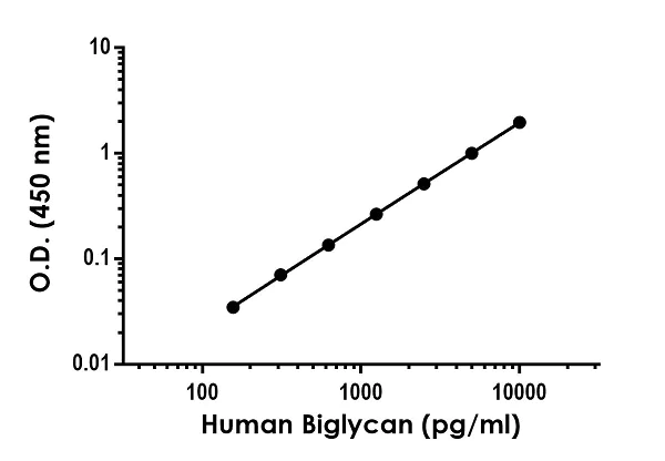 Sandwich ELISA - Anti-Biglycan antibody [EPR20235-88] - BSA and Azide free (Detector) (AB259548)
