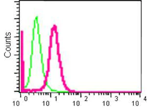 Flow Cytometry (Intracellular) - Anti-BIN1 antibody [EPR13463-25] - BSA and Azide free (AB226006)