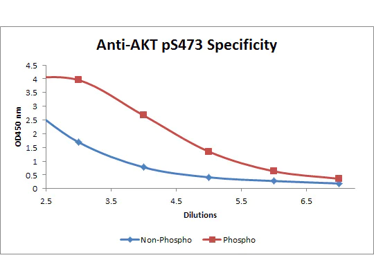ELISA - Biotin Anti-AKT1 (phospho S473) antibody [17F6.B11] (AB272113)