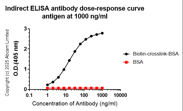 Indirect ELISA - Anti-Biotin antibody [EPR28239-85] (AB324266)