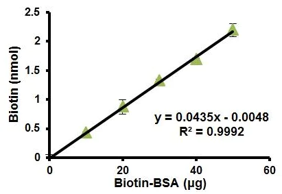 Functional Studies - Biotin Assay Kit (Colorimetric) (AB185441)