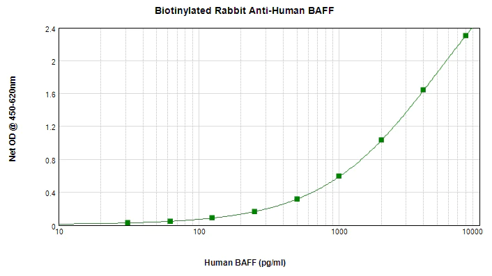 ELISA - Biotin Anti-BAFF antibody (AB271214)