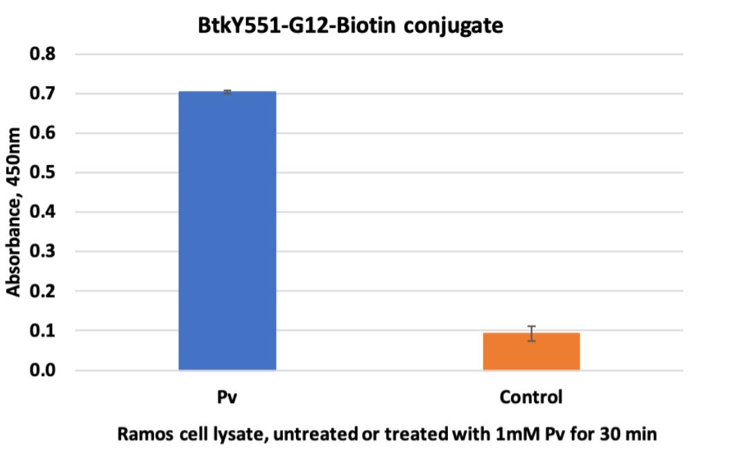 ELISA - Biotin Anti-BTK (phospho Y551) antibody [BtkY551-G12] (AB278650), expandable thumbnail