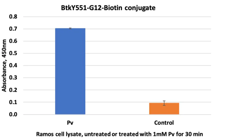 ELISA - Biotin Anti-BTK (phospho Y551) antibody [BtkY551-G12] (AB278650)