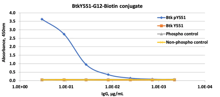 ELISA - Biotin Anti-BTK (phospho Y551) antibody [BtkY551-G12] (AB278650)