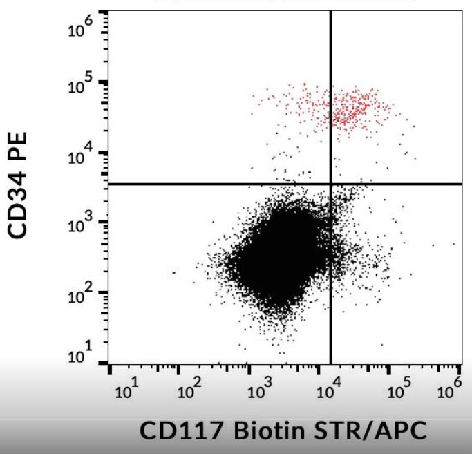 Flow Cytometry - Biotin Anti-c-Kit antibody [104D2] (AB191101)