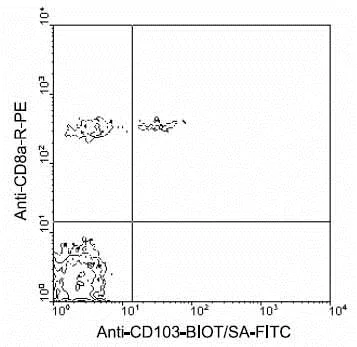 Flow Cytometry - Biotin Anti-CD103 antibody [2E7] (AB25211)